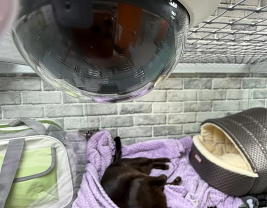 Камеры видеонаблюдения с режимом ночного видения