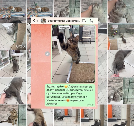 Ежедневные отчеты
в Telegram или WhatsApp
