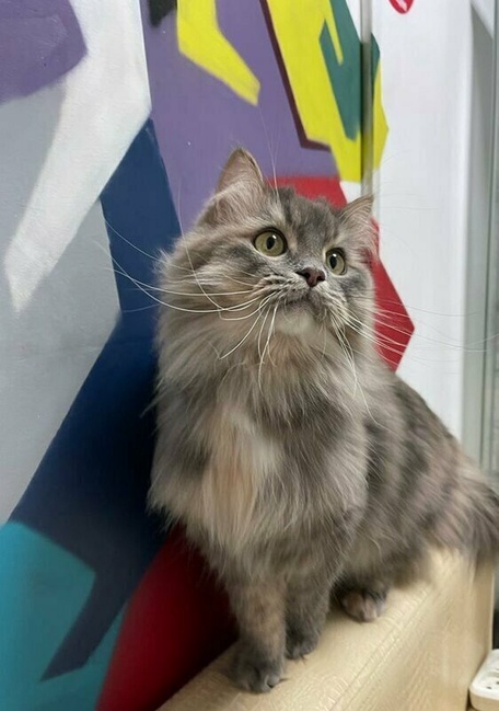 Дополнительные услуги!