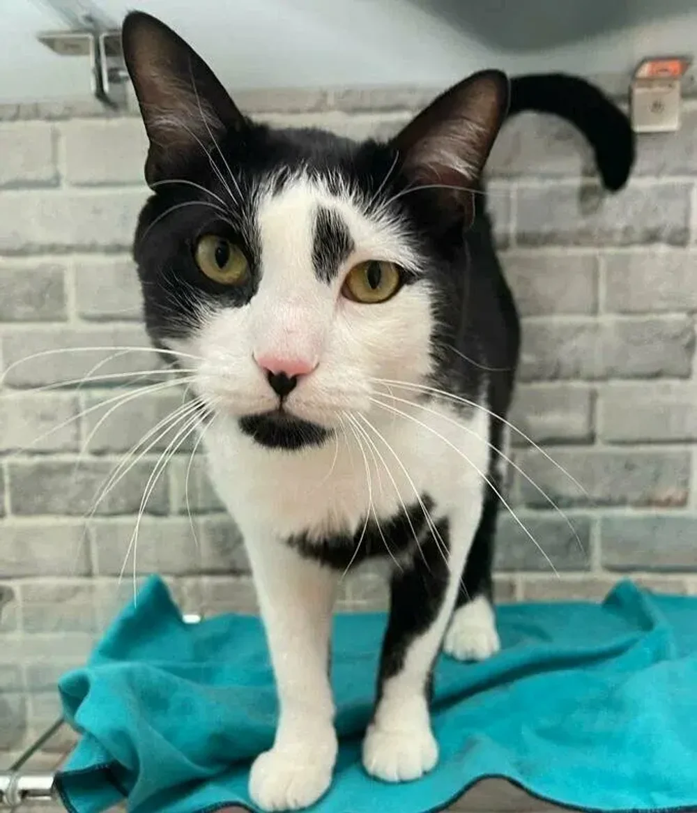 Забронировать на Кунцевской