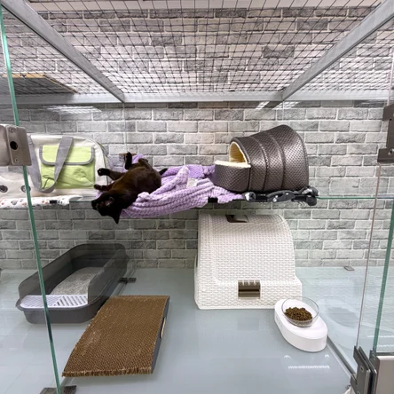 Комфорт с  видеонаблюдением