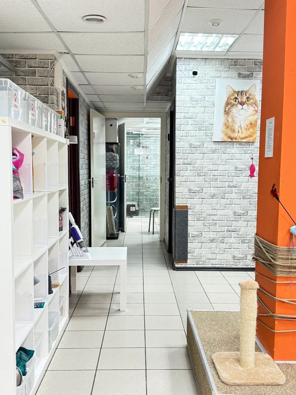 Кунцевская