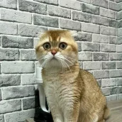 148a0aef-50aa-4357-8d94-7663759e7a38-xxxl (3).webp