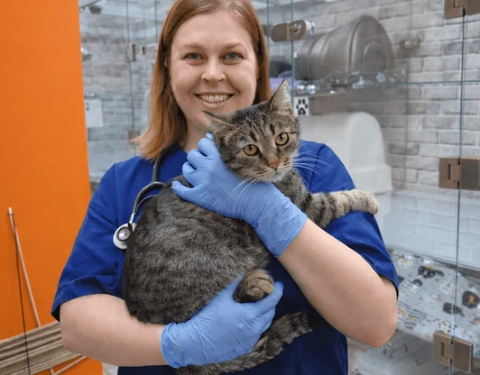 Ветеринарный врач с опытом более 15 лет!