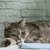 b3f8b01a-2ce1-4adb-aa11-d8ed1e47fa7b-xxxl (9).webp