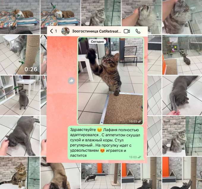 Ежедневные отчеты 
в Telegram/Max