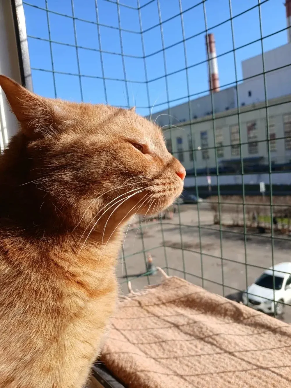 Забронировать на Хорошёво