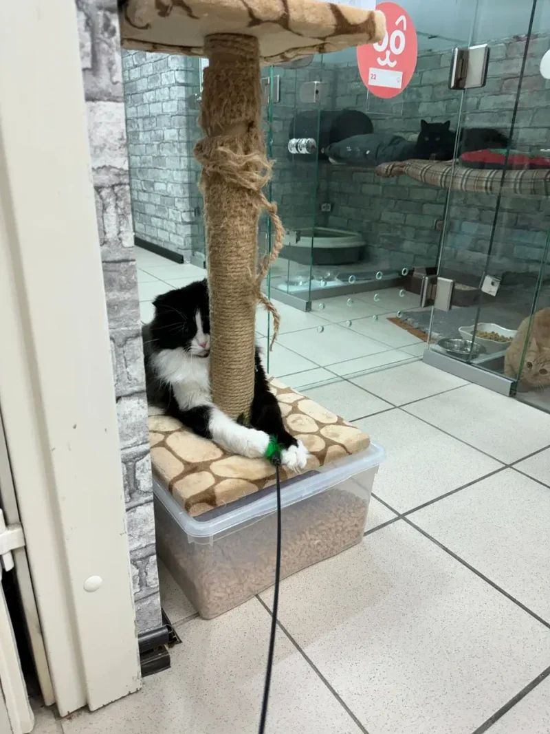 image-5