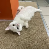 407b3ebc-f08e-496a-9ce3-b5a2918d3fab-xxxl (5).webp