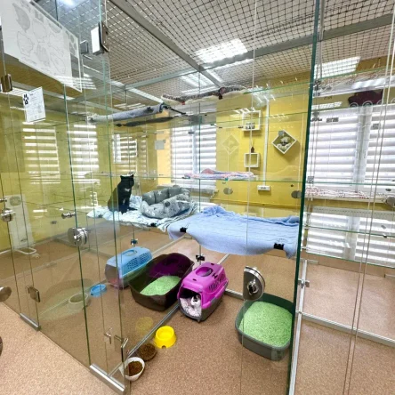 Люкс с видеонаблюдением