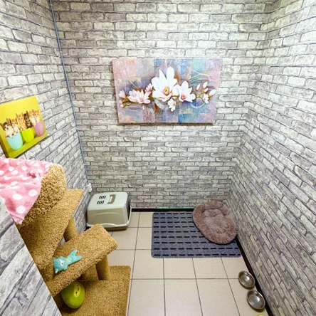 VIP комната 4,2м2