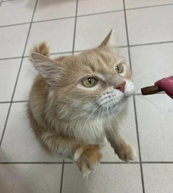 Дополнительные услуги!