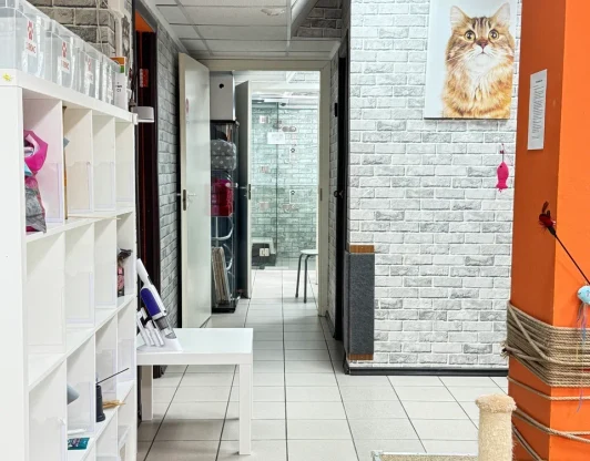 Кунцевская