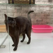 6c31ad63-62bc-42f1-8213-31377686f30e-xxxl (6).webp