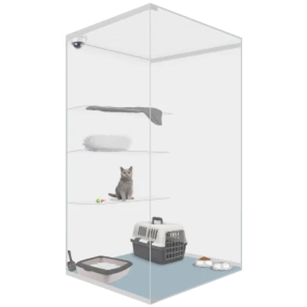 Люкс с видеонаблюдением